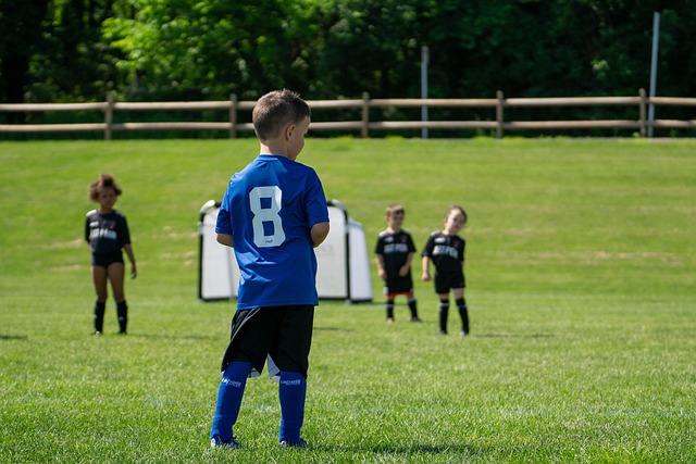 全面发展的 全面发展的