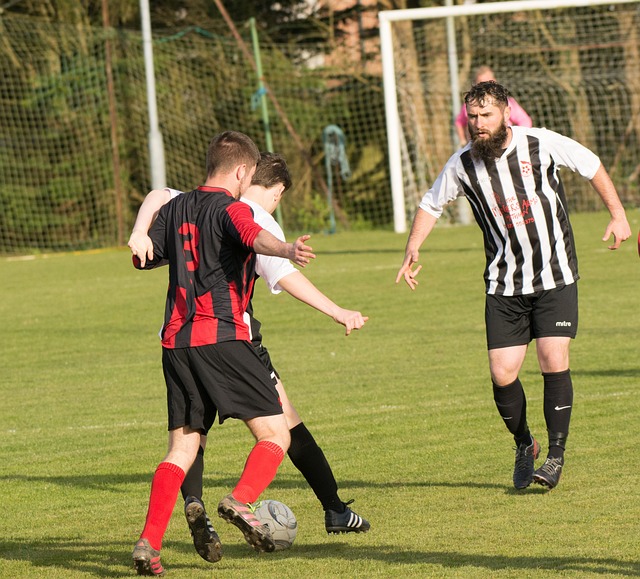 这样的选择 这样的选择