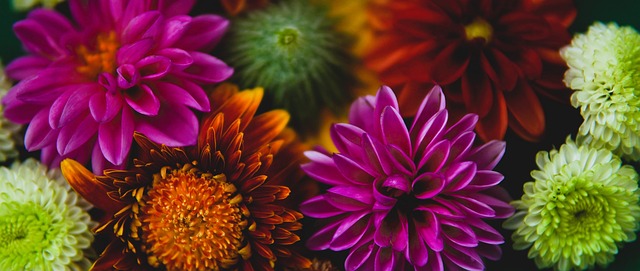 敲響了警鐘 敲響了警鐘