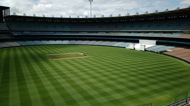 切尔西中场 切尔西中场