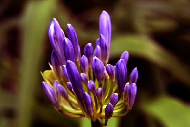 多特踢球并 多特踢球并